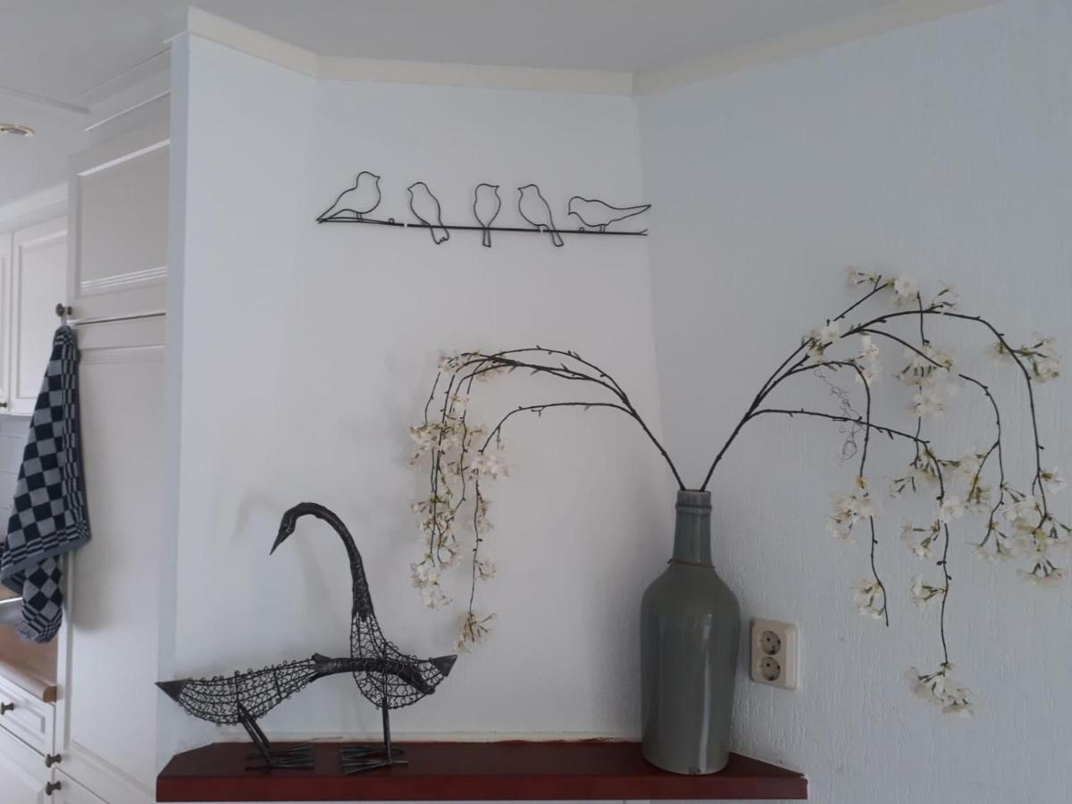 Chalet Van Minicamping De Braamhof Koudekerke Εξωτερικό φωτογραφία