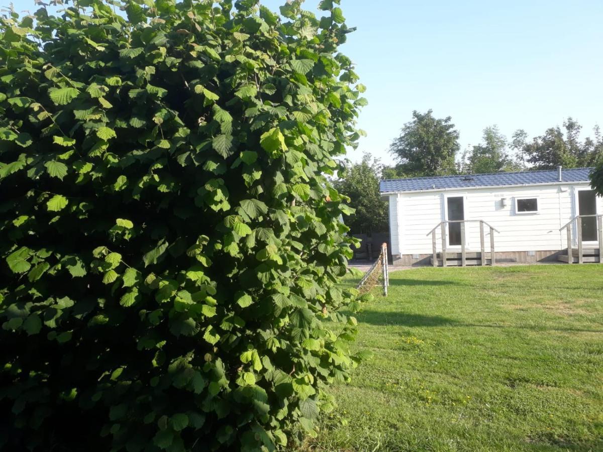Chalet Van Minicamping De Braamhof Koudekerke Εξωτερικό φωτογραφία